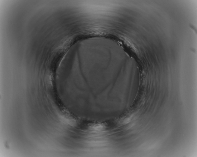 X0000097490643200803141958