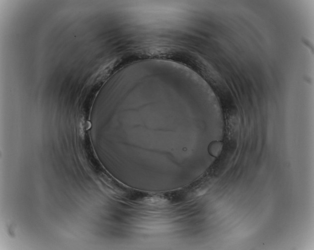 X0000097490644200803141958