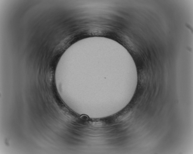 X0000097490645200803141958