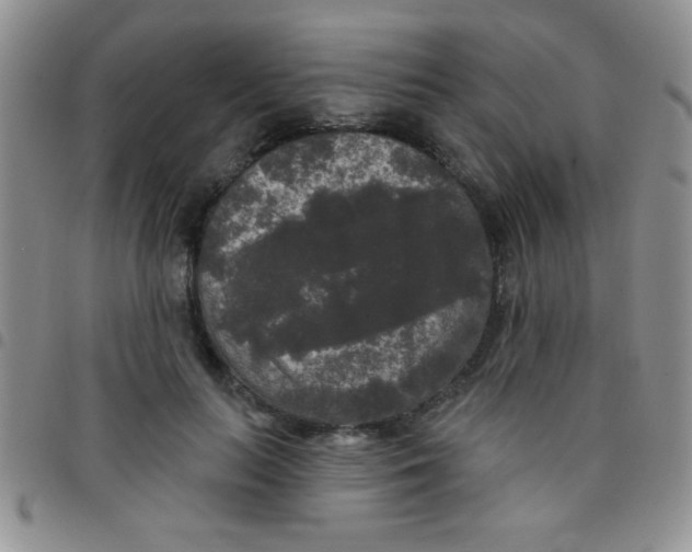 X0000097490647200803141958