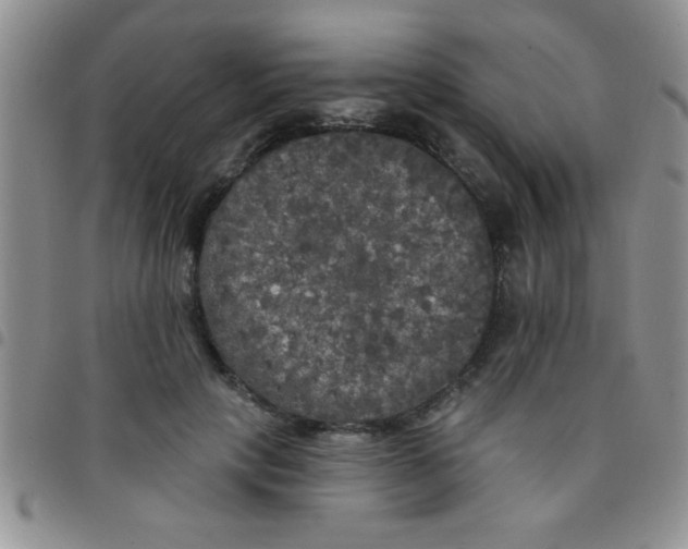 X0000097490649200803141958