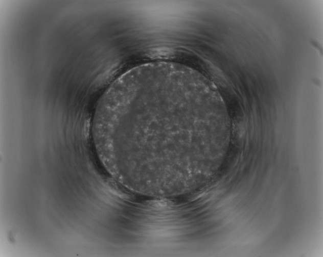 X0000097490652200803141958