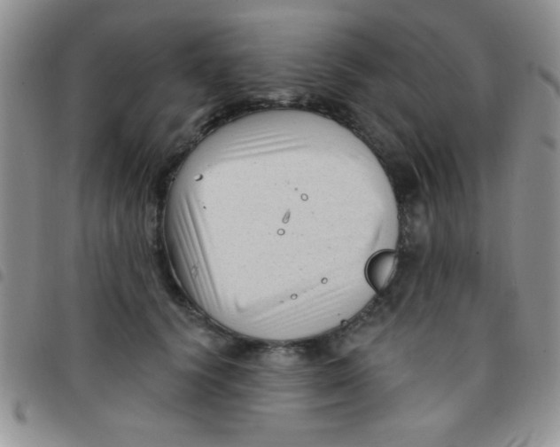 X0000097490656200803141958