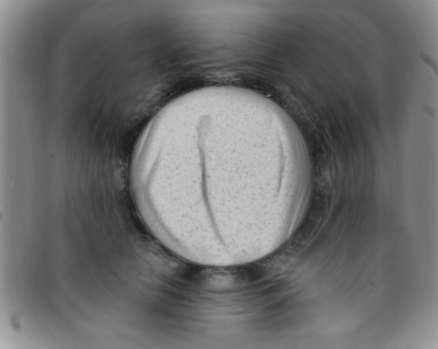 X0000097490658200803141958