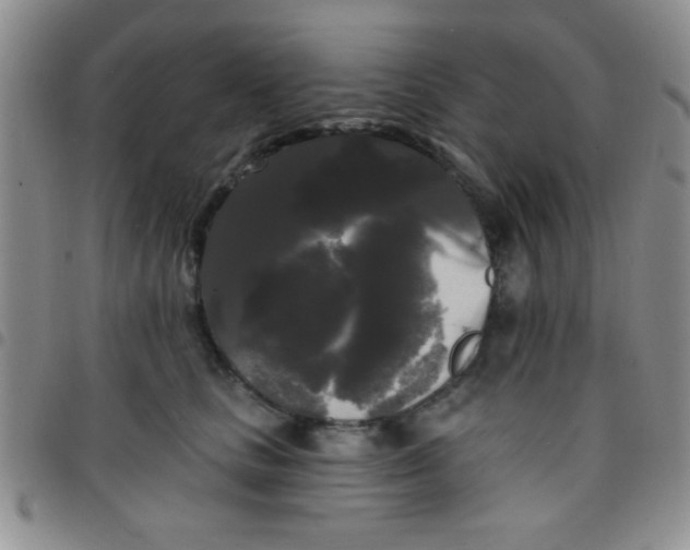 X0000097490661200803141958