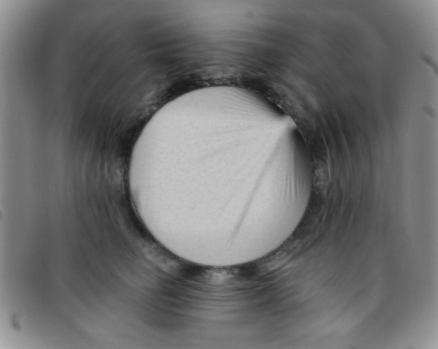 X0000097490662200803141958