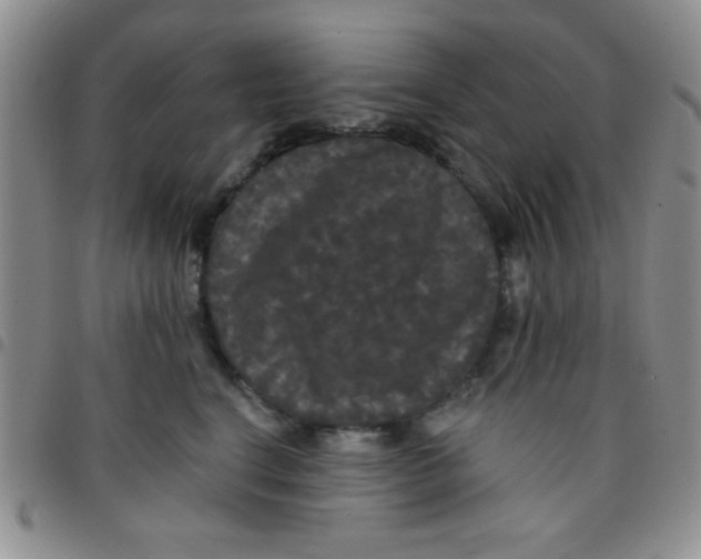 X0000097490664200803141958