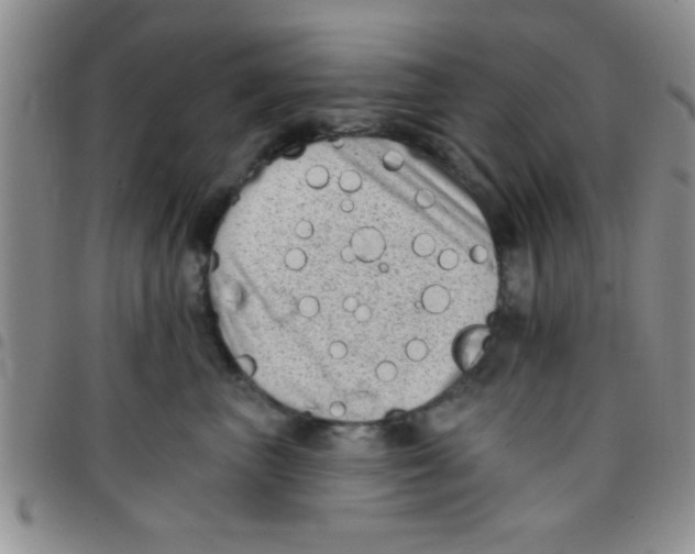 X0000097490667200803141958