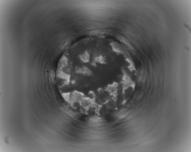 X0000097490669200803141958