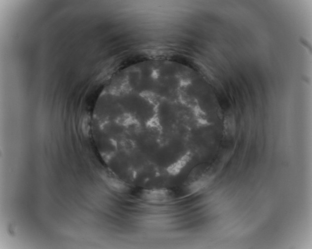 X0000097490671200803141958