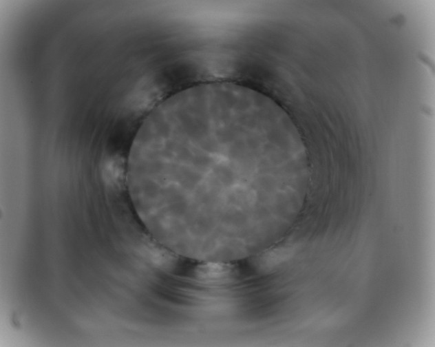 X0000097490672200803141958