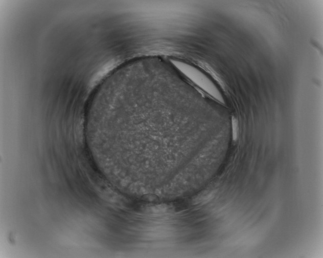 X0000097490675200803141957