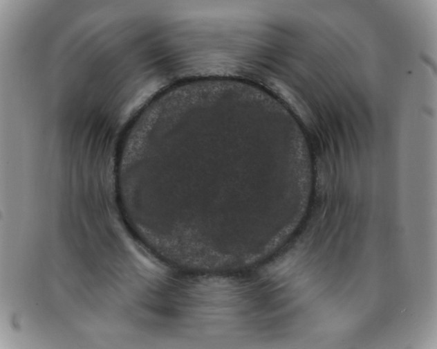 X0000097490677200803141957