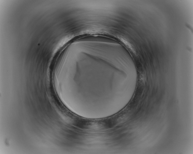 X0000097490678200803141957