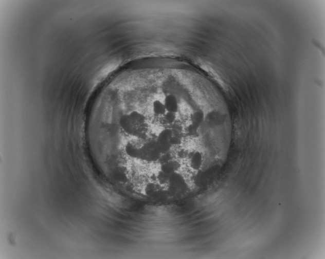 X0000097490679200803141957