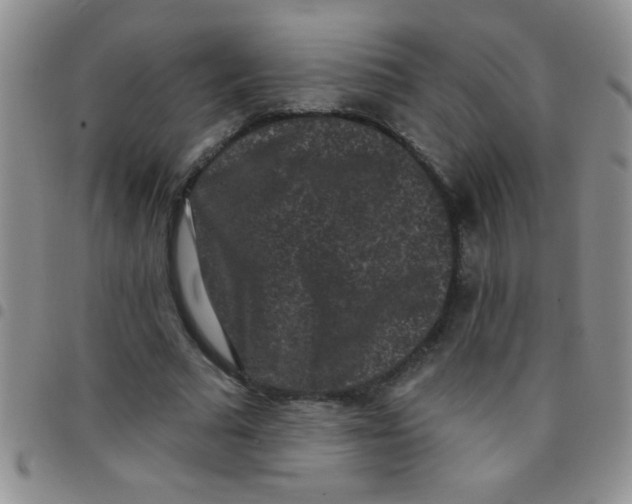 X0000097490681200803141957