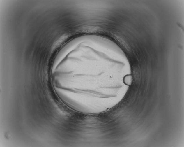 X0000097490682200803141957