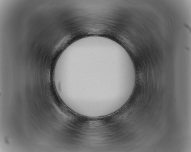 X0000097490686200803141957