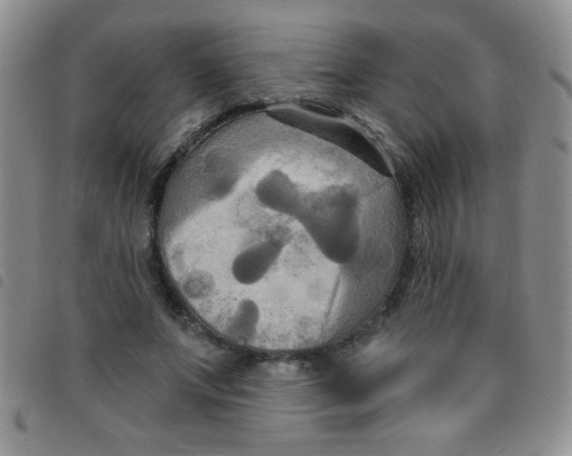 X0000097490687200803141957