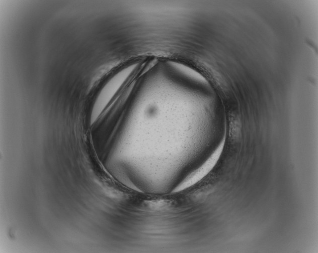 X0000097490688200803141957