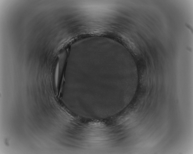 X0000097490689200803141957