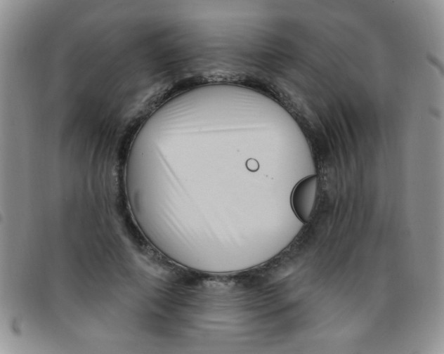 X0000097490690200803141957