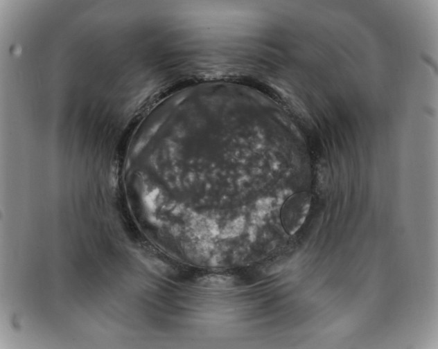 X0000097490691200803141957