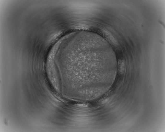 X0000097490692200803141957