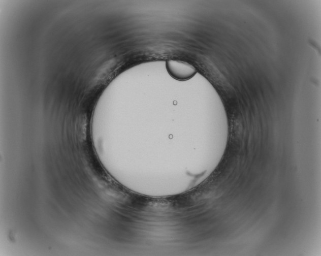 X0000097490694200803141957