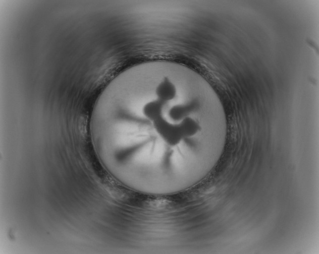 X0000097490695200803141957