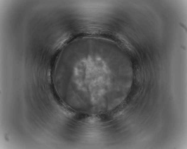 X0000097490696200803141957