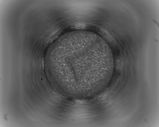 X0000097490697200803141957