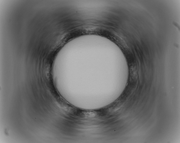 X0000097490698200803141957