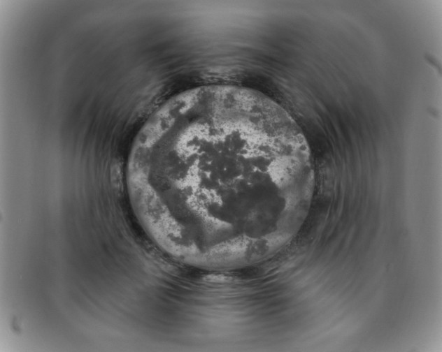 X0000097490699200803141957