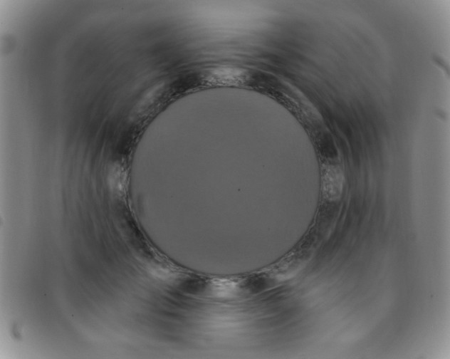 X0000097490701200803141957