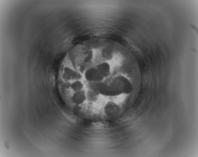 X0000097490703200803141957