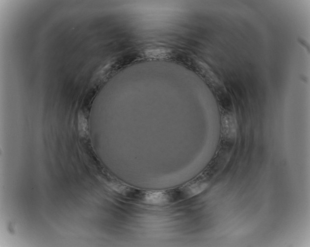 X0000097490705200803141957