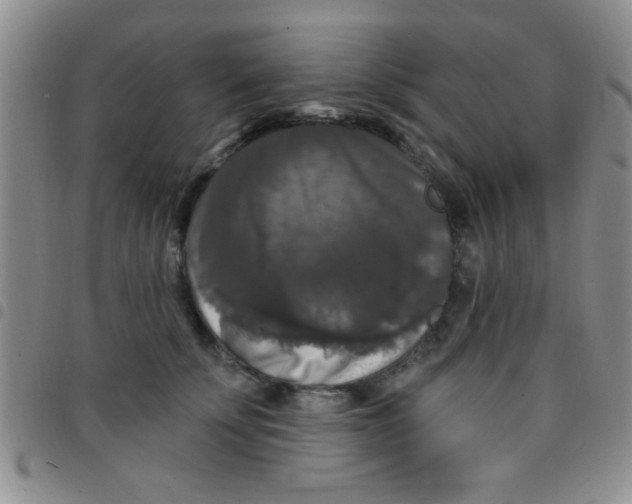 X0000097490707200803141957