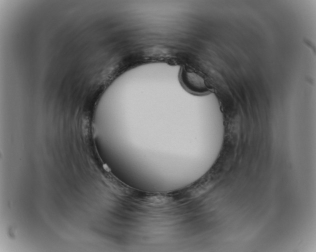 X0000097490708200803141957