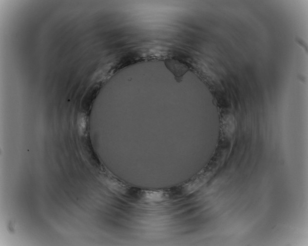 X0000097490709200803141957