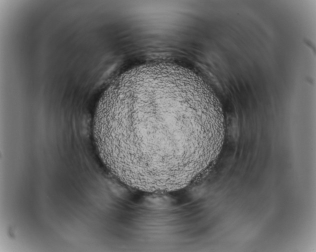 X0000097490712200803141957