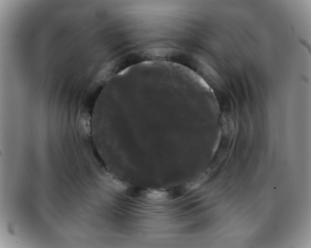 X0000097490718200803141957