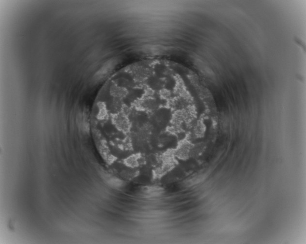 X0000097490719200803141957