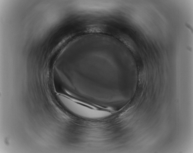 X0000097490722200803141956