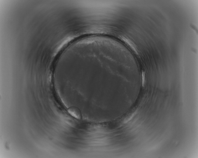 X0000097490723200803141956