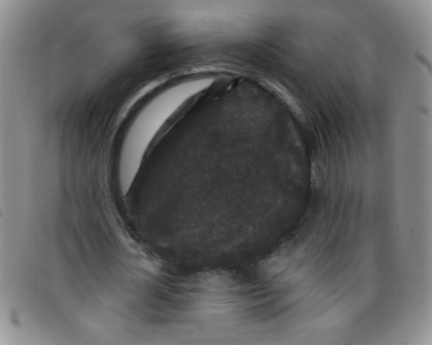 X0000097490724200803141956