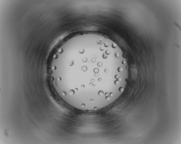 X0000097490726200803141956