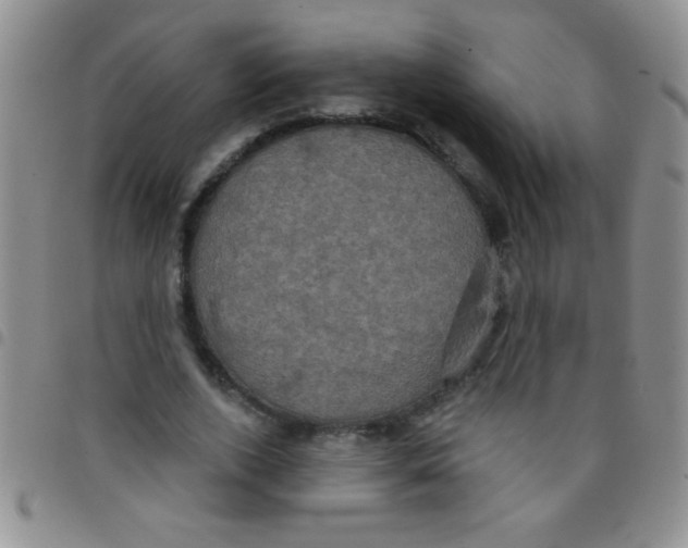 X0000097490728200803141956