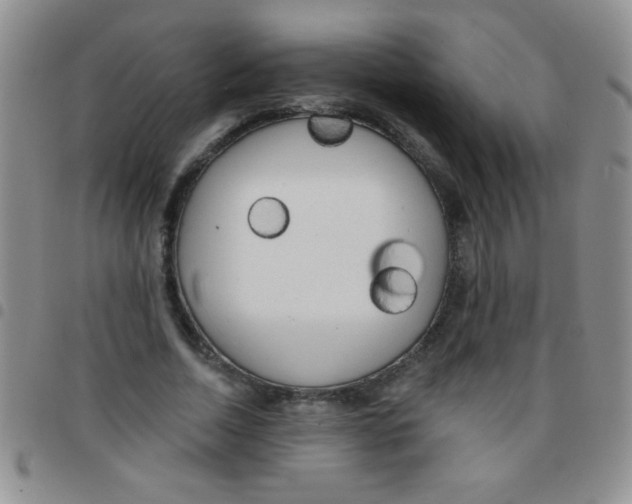 X0000097490730200803141956