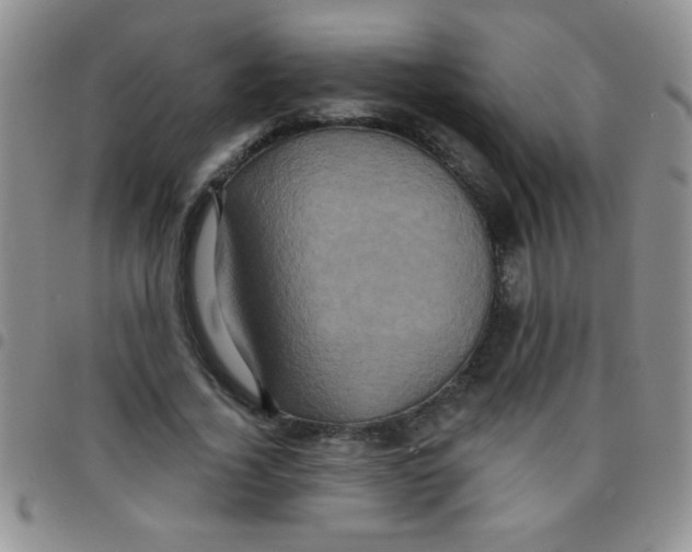 X0000097490732200803141956